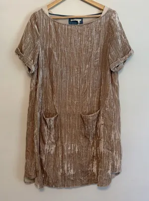 Floreat Anthropologie M Crushed Velvet Boho Chic Poetcore Shift Dress Champagne thumbnail 1
