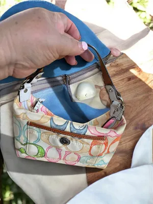 Coach Hampton bag thumbnail 2