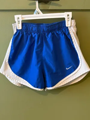 Nike Blue Dri-Fit Athletic Shorts  thumbnail 3