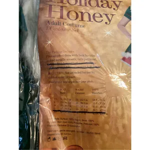 NIB Holiday Honey Christmas Costume by InCharacter Costumes Sz L thumbnail 6
