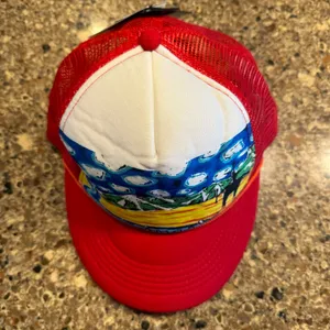 NWT: Smartwool RT Scene Trucker Hat thumbnail 8