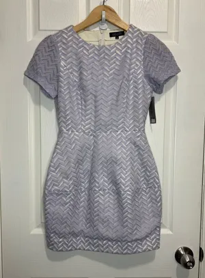 Elliatt chevron lilac dress XS thumbnail 1