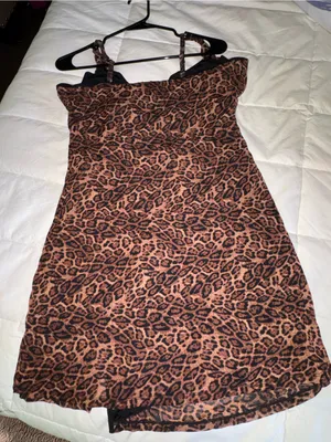 Leopard thumbnail 6