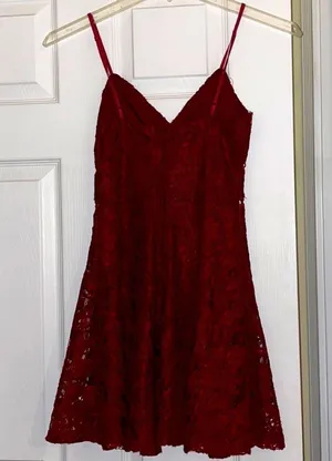 Francesca's Lace Cut Out Mini Dress thumbnail 2
