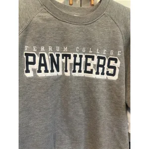 Champion Ferrum College Panthers Gray Crewneck Sweatshirt Womens Large Raglan VA thumbnail 2