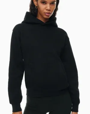 Aritzia TNA cozy sweat fleece perfect hoodie thumbnail 1