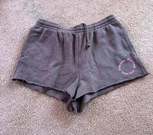 PacSun Shorts thumbnail 1