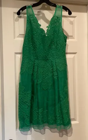 Anthropologie Dress thumbnail 1