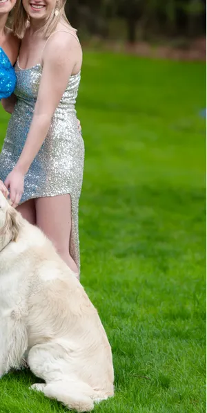 Gold sequin maxi dress Silver thumbnail 2