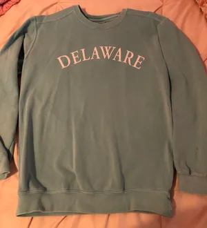 Comfort Colors Delaware Crewneck thumbnail 1