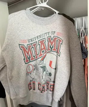 Hollister Sweatshirt  thumbnail 1