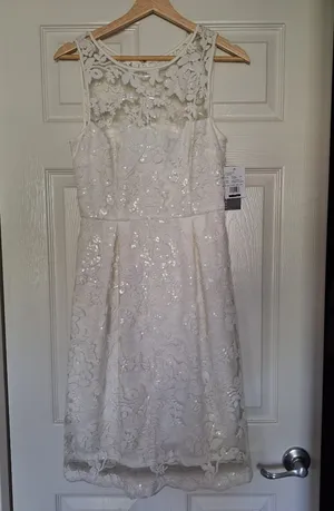 Donna Ricco David's Bridal NWT Ivory Lace Sequin Dress Size 2 thumbnail 4