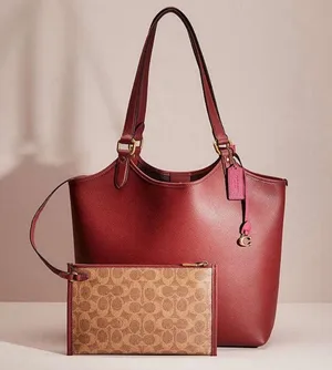 Coach Polished Pebble Leather Restored Day Tote in Brass/Brick Red, New +DustBag thumbnail 14