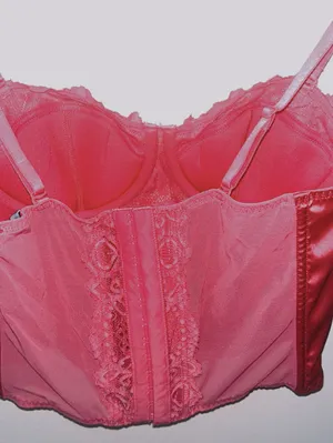 Sincerely Jules Corset Top thumbnail 4