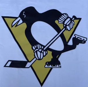 Anvil Vintage Pittsburgh Penguins Hockey White Graphic T-shirt thumbnail 3