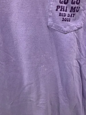 Comfort Colors Go Go Phi Mu Bid Day Tee thumbnail 6