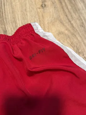Nike Dri-Fit Alabama Shorts thumbnail 5