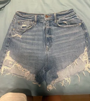 American Eagle Denim Shorts thumbnail 1