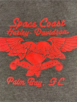 Harley Davidson Space Coast Palm Pay Fl Shiny Iridescent Graphic Tee Gray Large thumbnail 7