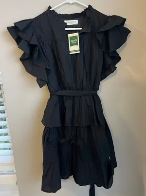 The Pants Store Black Ruffled Tiered Dress thumbnail 1