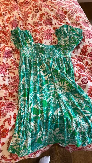 Lily Pulitzer Lilly Dress thumbnail 1