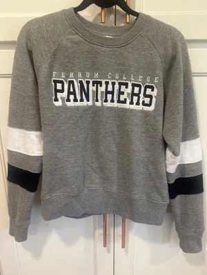 Champion Ferrum College Panthers Gray Crewneck Sweatshirt Womens Large Raglan VA thumbnail 1