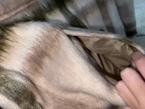American Eagle Fur Jacket thumbnail 4