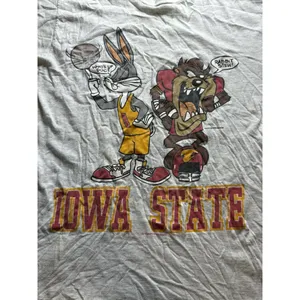 80s Native‎ American Woman New Mexico Pocahontas Style Shirt Size XL Vintage thumbnail 6