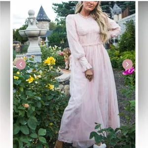Ivy City Co NWT‎ Last Songbird Pink Fairy Whimsical Modest Midi Dress Medium thumbnail 3