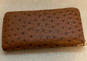 Brown Ostrich-Texture Zip Around Wristlet Clutch thumbnail 1