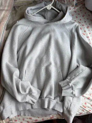 Aritzia Sweatfleece Hoodie thumbnail 1