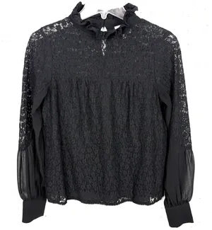 Tuckernuck Lace High Neck Sheer Balloon Sleeve Blouse Sheer Black Size Small thumbnail 1