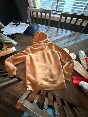 Carhartt Hoodie thumbnail 2