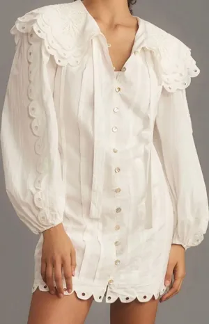 Farm Rio Collared Button Front Mini Dress, Size L thumbnail 2