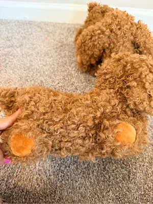 NWT Skims Curly dog faux fur slippers in chai size 38 new in bag thumbnail 7
