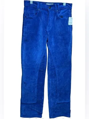 Free People We The Free Blue Corduroy Risk T High Rise Straight Pants Size 26 NW thumbnail 12