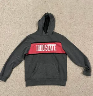 Ohio State Hoodie Gray Size L thumbnail 1