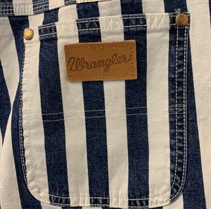 Wrangler Shorts thumbnail 4