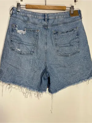 American Eagle Outfitters Light Blue baggy mom short size 12 thumbnail 7