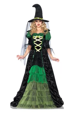 Adult Storybook Witch Costume Size XL thumbnail 1