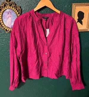 Banana Republic Pink Button Down Blouse NWT Sz Large thumbnail 1