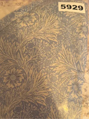 Talulah Savannah Ditsy‎ Floral 2 Tone Maxi Dress thumbnail 8