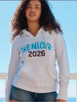 Hollister Women's Senior 2026 Hoodie XL Gray Chenille Patch Pullover thumbnail 1