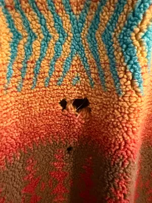 Wool Jacket Multiple thumbnail 5