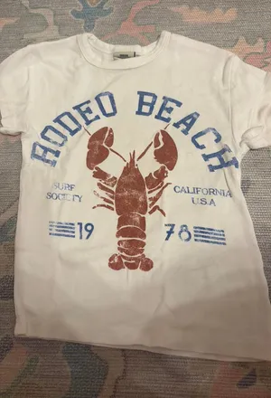 Urban Outfitters Baby Tee thumbnail 1