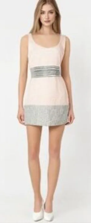 Belle Badgley Mischka $269 Beaded Sequined Dress Pink Silver Ivory Size 2 thumbnail 1