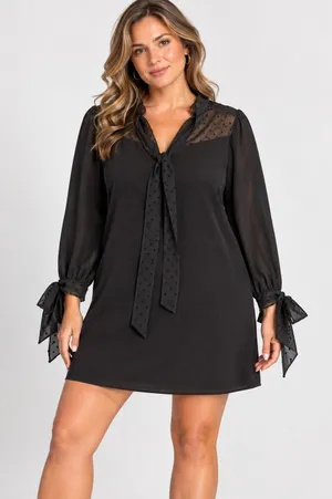 Zara Black Swiss Dot Mesh Tie Neck Mini Dress Long Sleeve Large Parisian Chic thumbnail 1