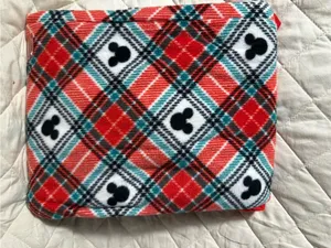 T462. Disney Minnie Mouse Plaid Bow Pyjama Set - Red & Gray thumbnail 4