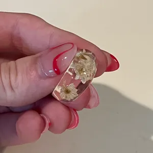 4 Resin Dings of Lemons, Watermelons and Dried Flowers thumbnail 8