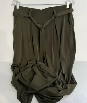 Express Olive Green Wide-Leg Pants with Belt thumbnail 2